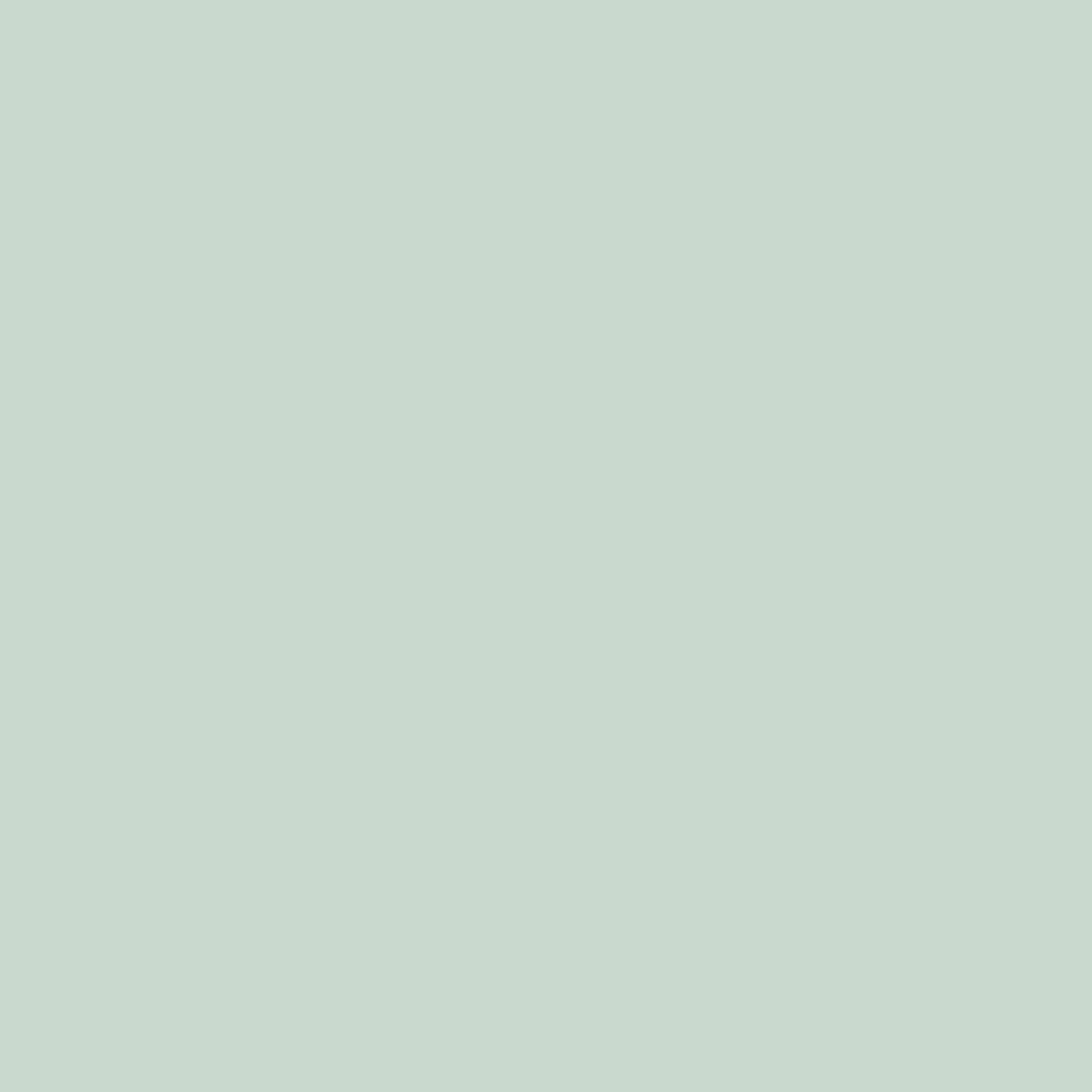 Clean mint