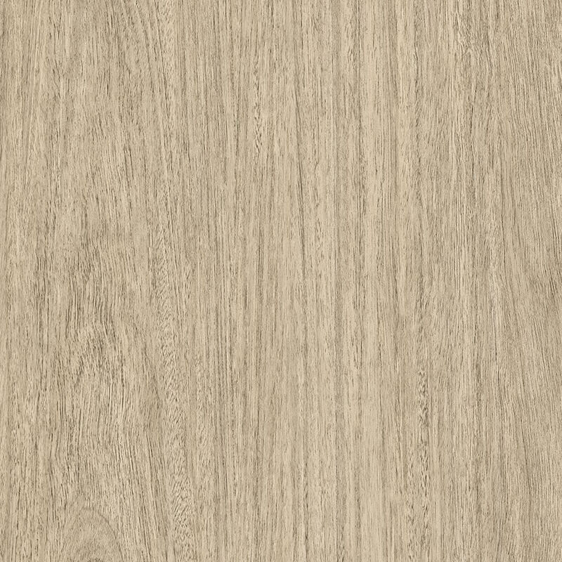 Eucalyptus
