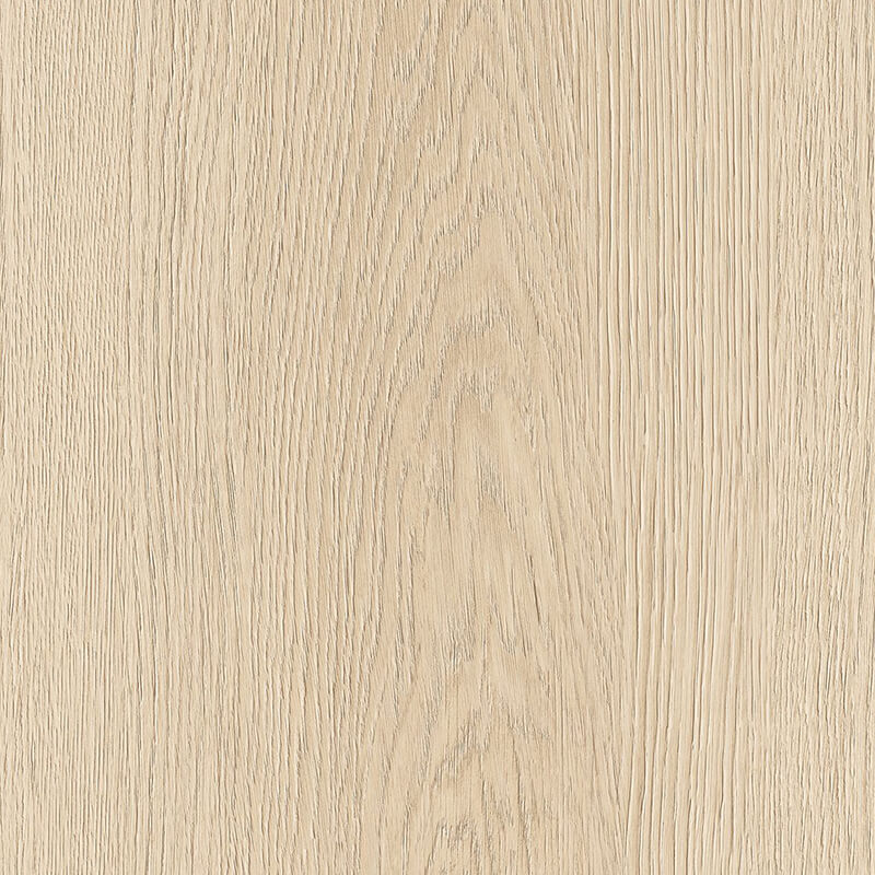 Sand Oak