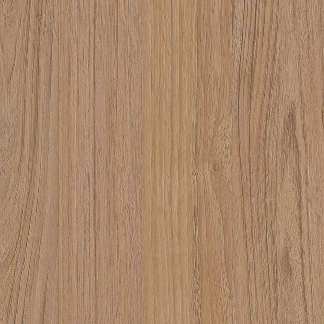 Maymac oak