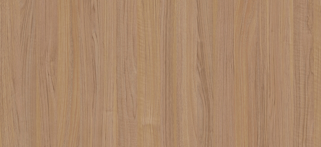 Maymac oak