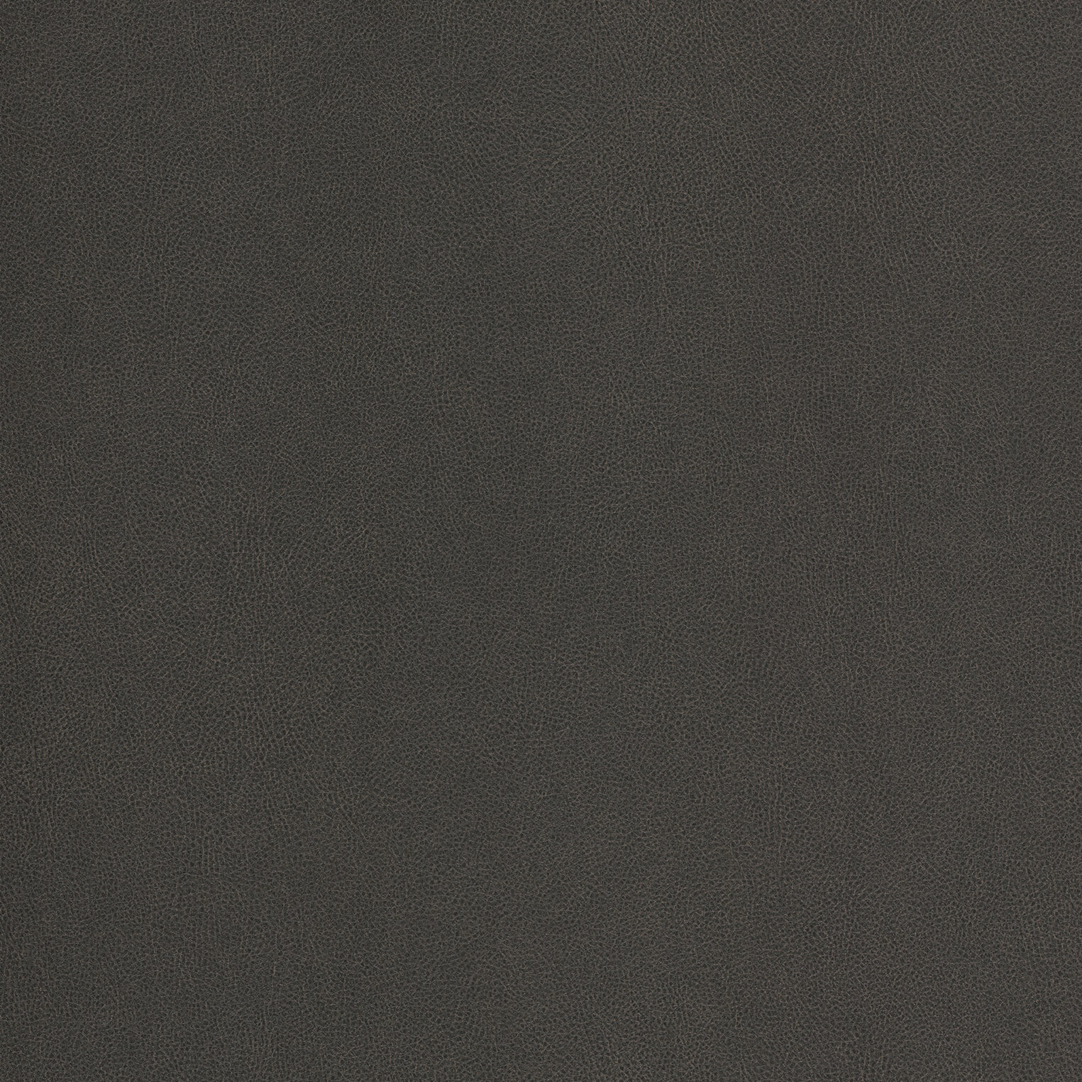 Grey leather