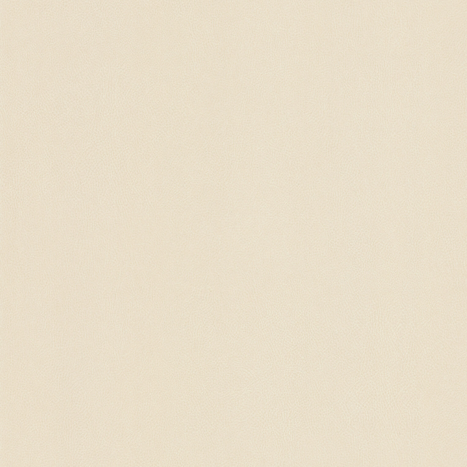 Light cream leather