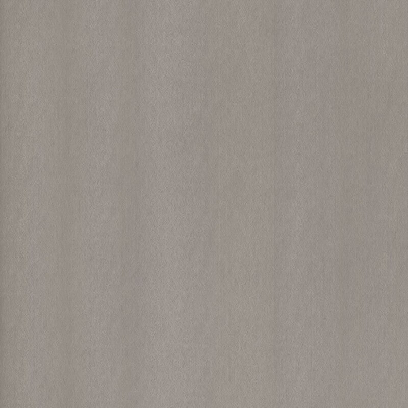 Soft brushed silver