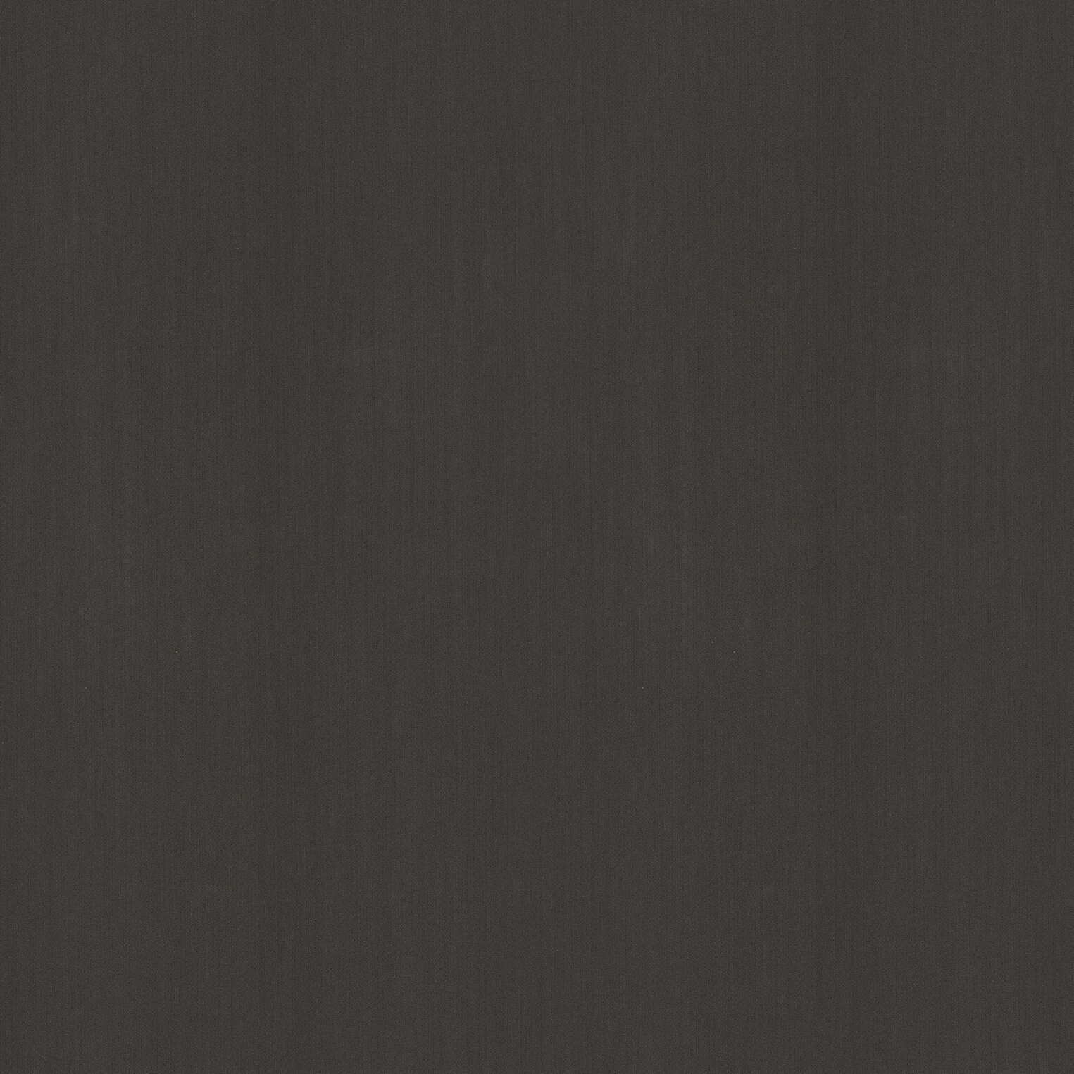 Dark brushed silver